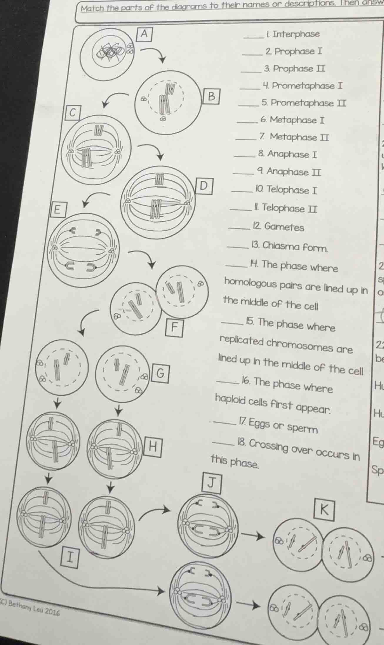 match the parts of the diagrams to their names or descriptions. then an…