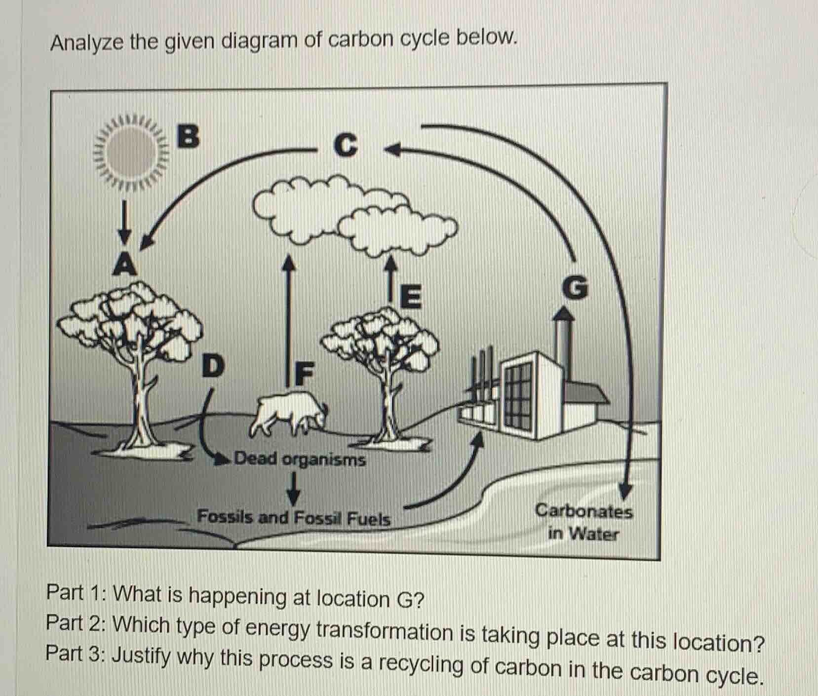 analyze the given diagram of carbon cycle below. part 1: what is happen…