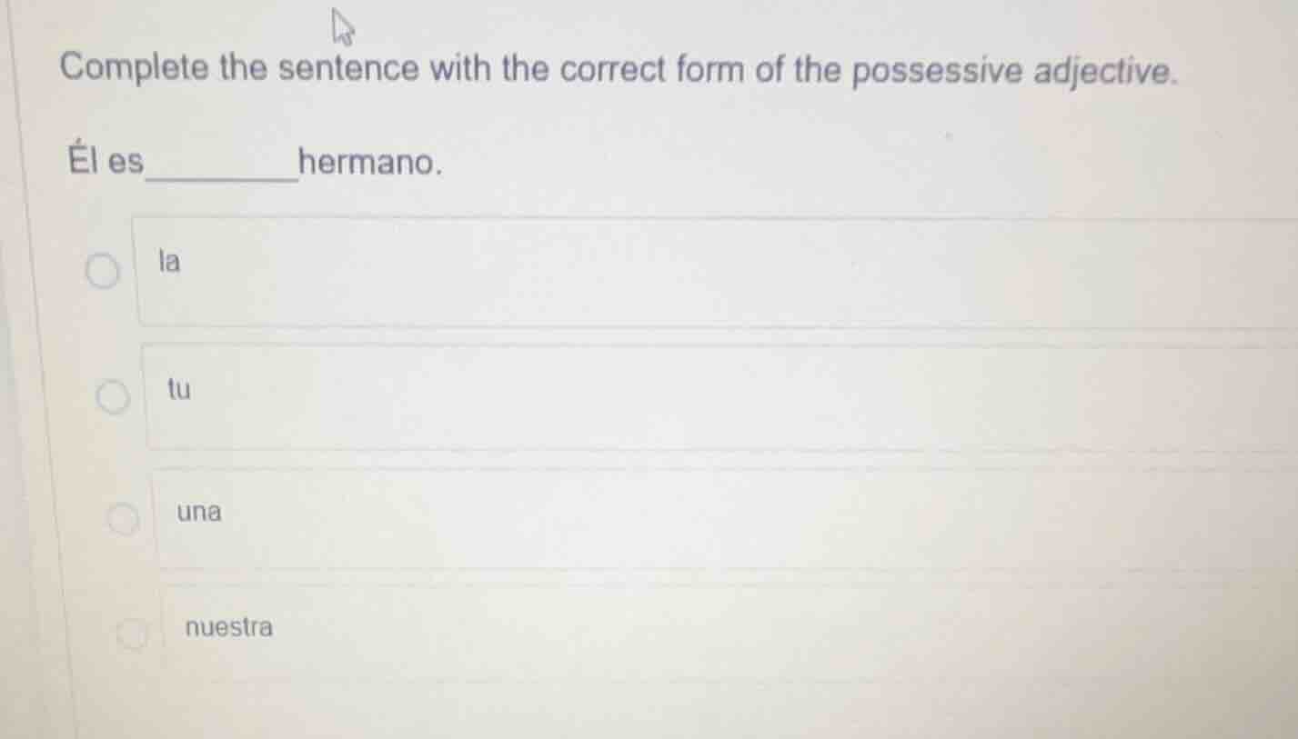 complete the sentence with the correct form of the possessive adjective…