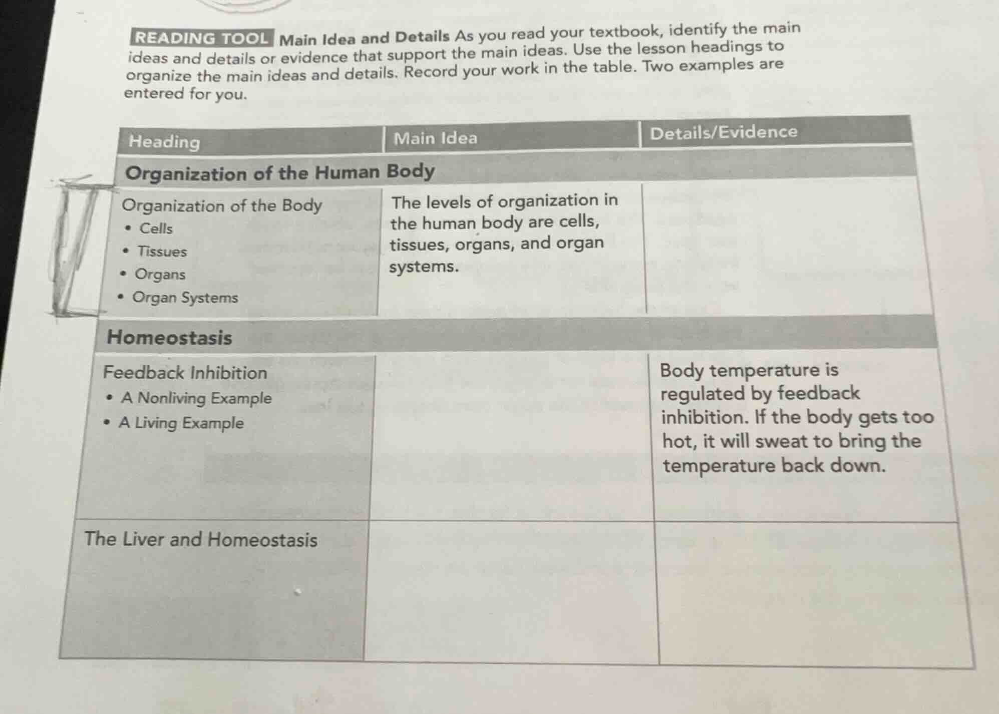 reading tool main idea and details as you read your textbook, identify …