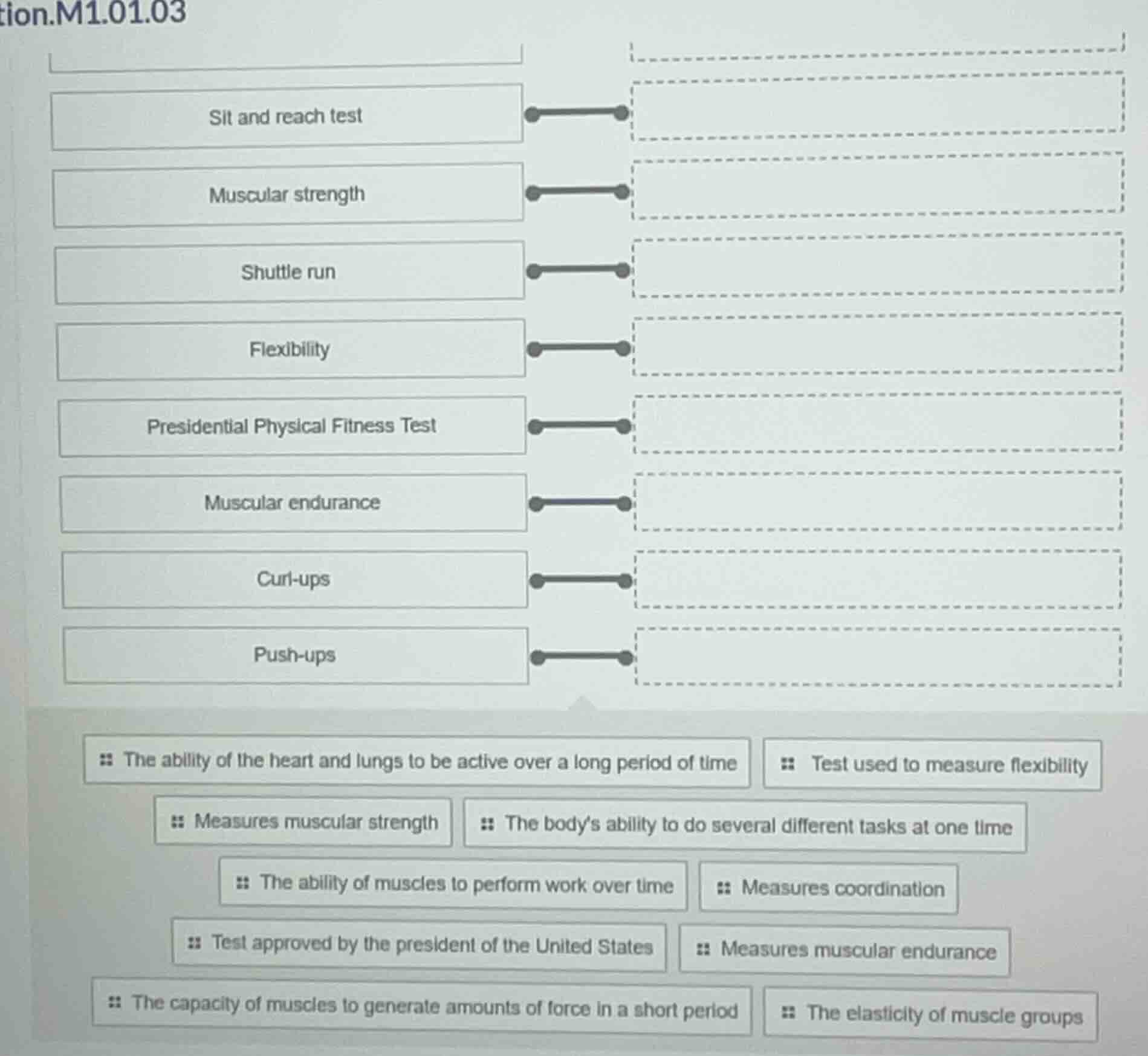 sit and reach test muscular strength shuttle run flexibility presidenti…