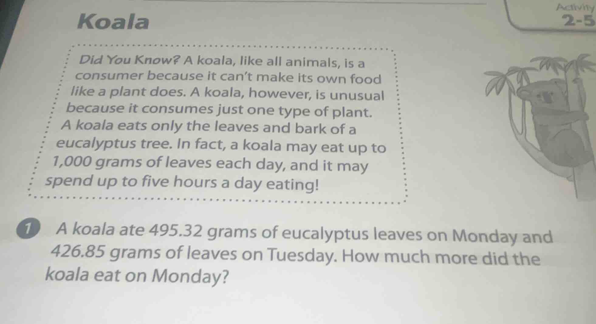 koala did you know? a koala, like all animals, is a consumer because it…