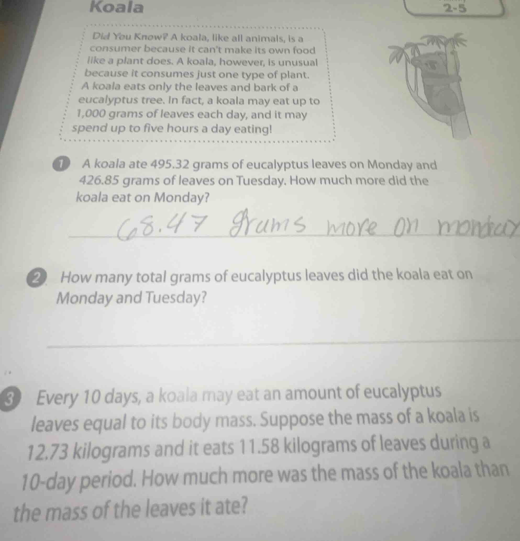 koala did you know? a koala, like all animals, is a consumer because it…