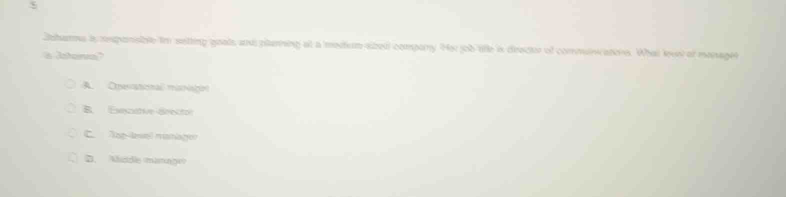 johanna is responsible for setting goals and planning at a medium - siz…