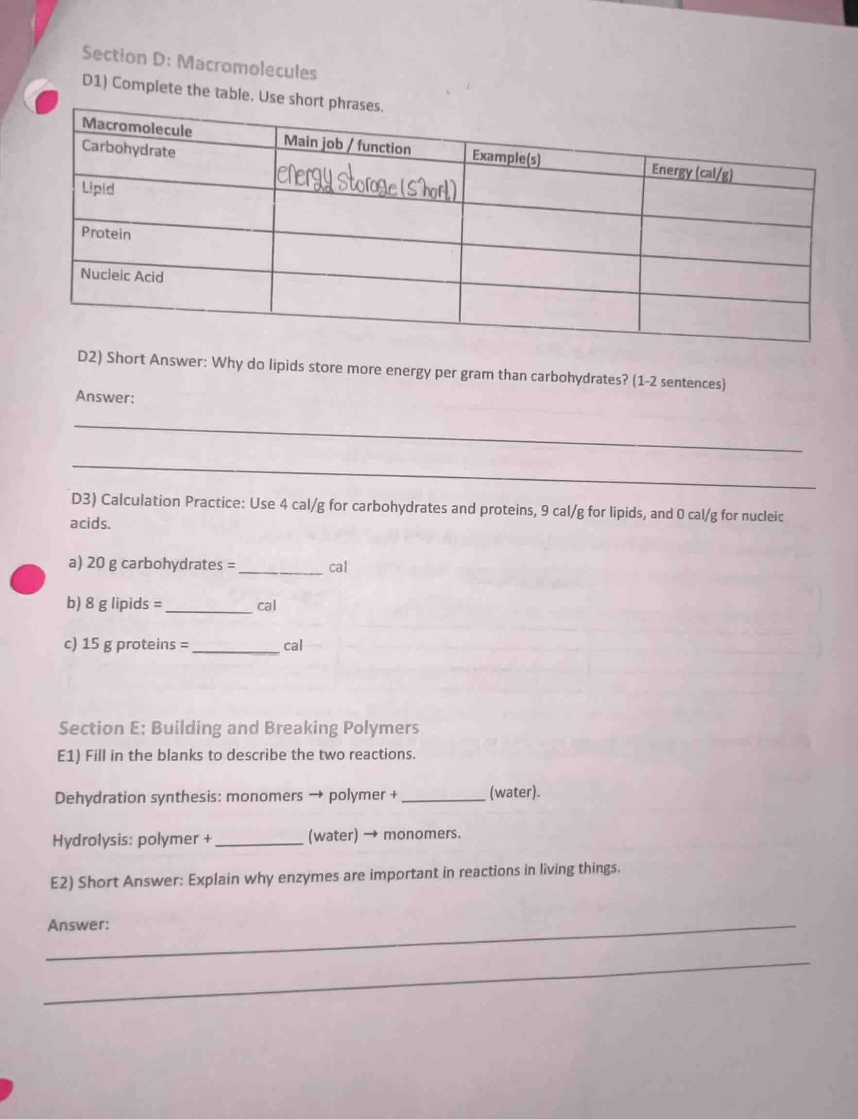 section d: macromolecules d1) complete the table. use short phrases. ma…