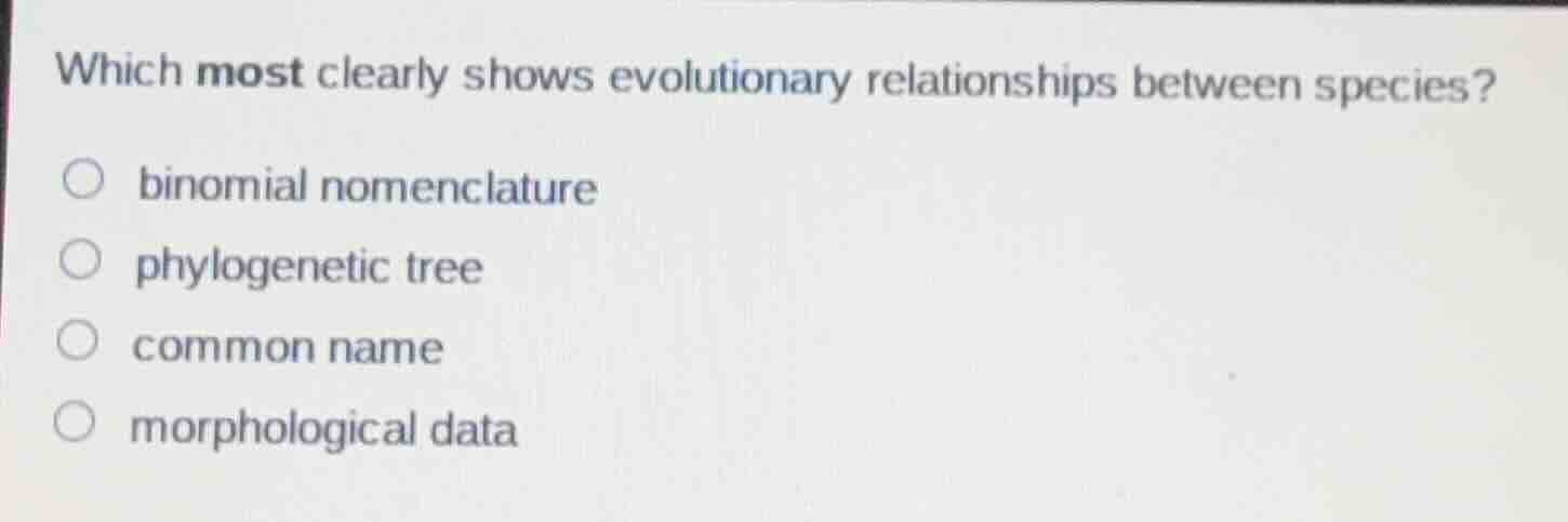 which most clearly shows evolutionary relationships between species? bi…