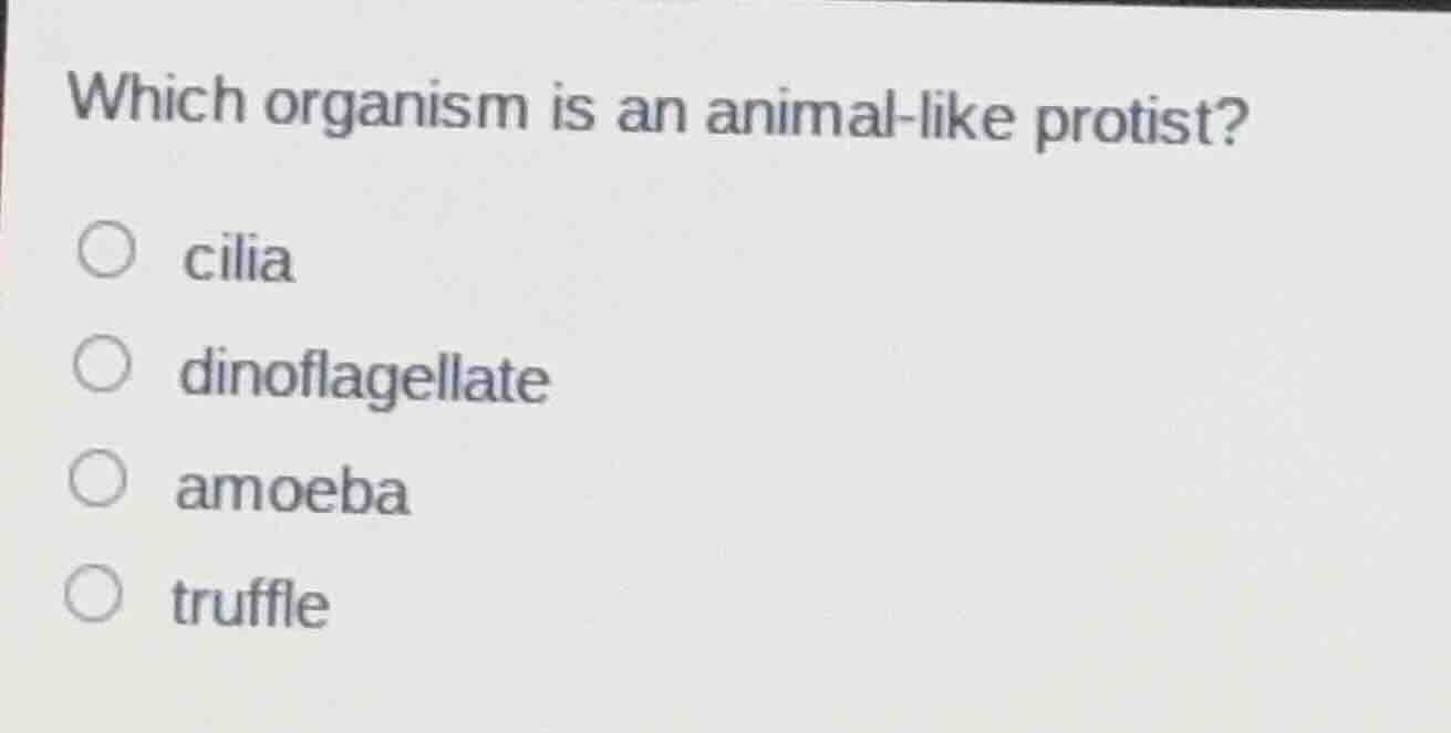 which organism is an animal - like protist? ○ cilia ○ dinoflagellate ○ …