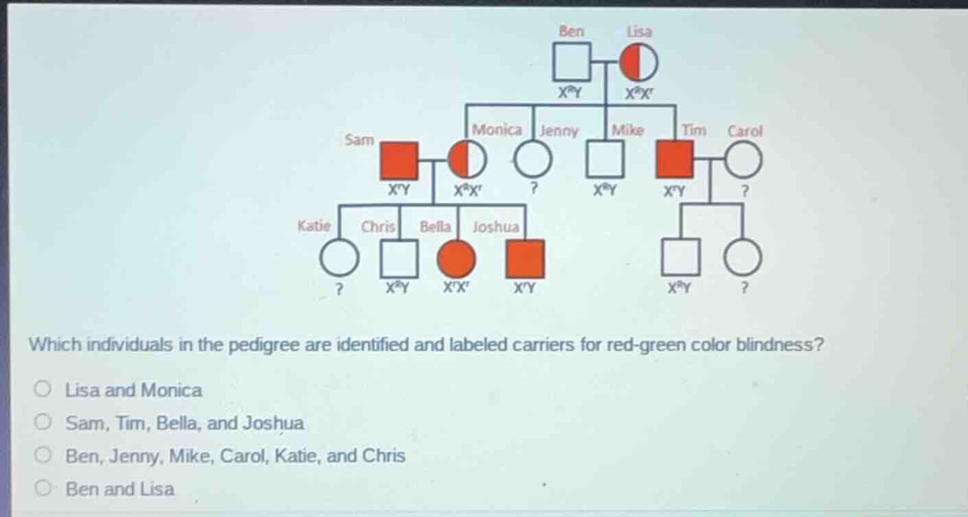 which individuals in the pedigree are identified and labeled carriers f…