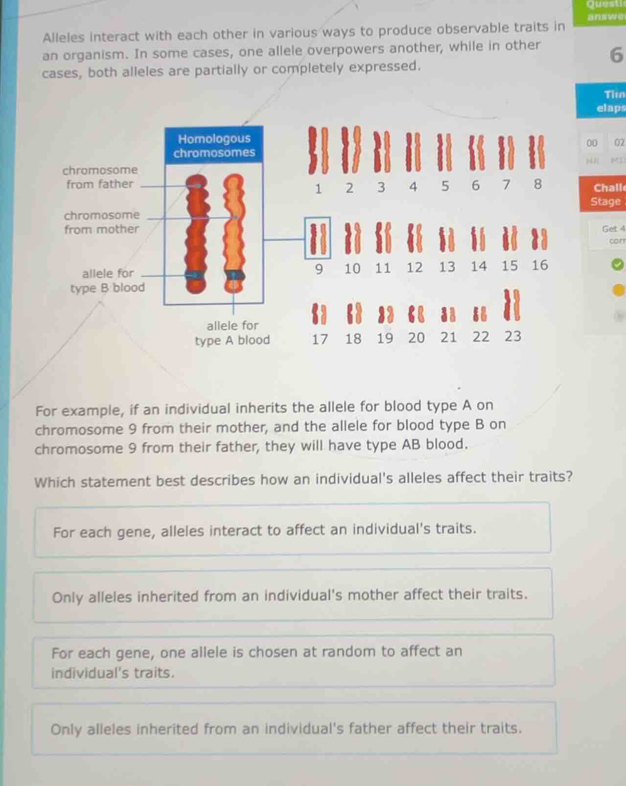 alleles interact with each other in various ways to produce observable …