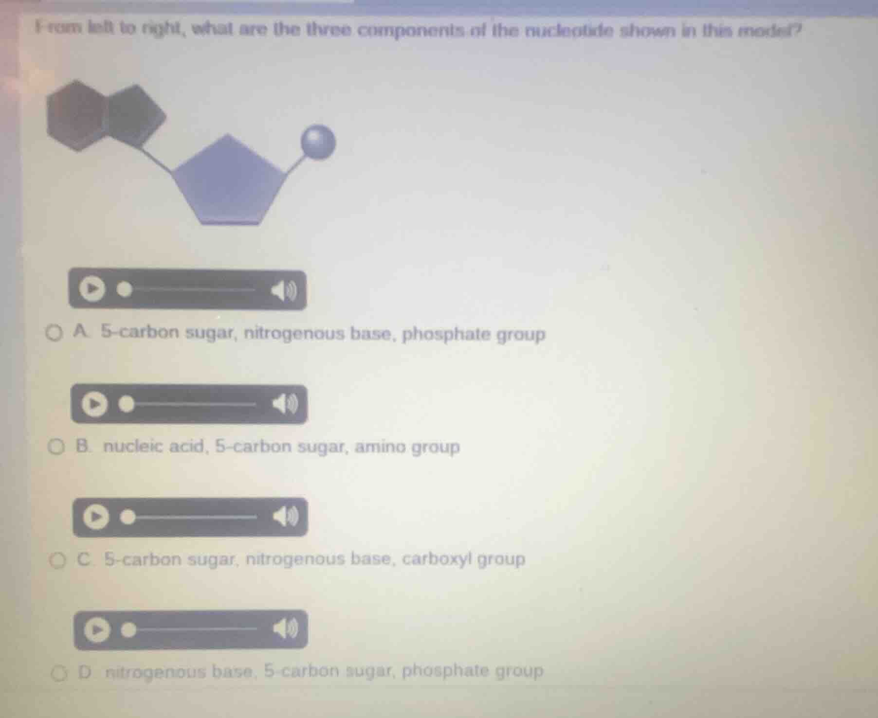 from left to right, what are the three components of the nucleotide sho…