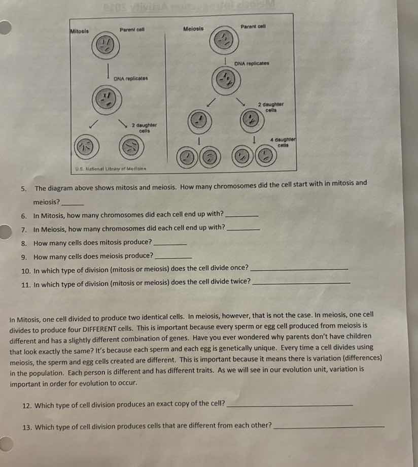 5. the diagram above shows mitosis and meiosis. how many chromosomes di…
