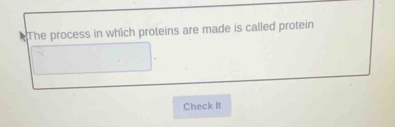 the process in which proteins are made is called protein