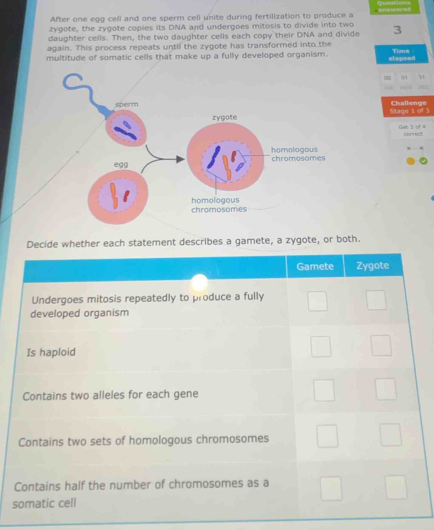 after one egg cell and one sperm cell unite during fertilization to pro…
