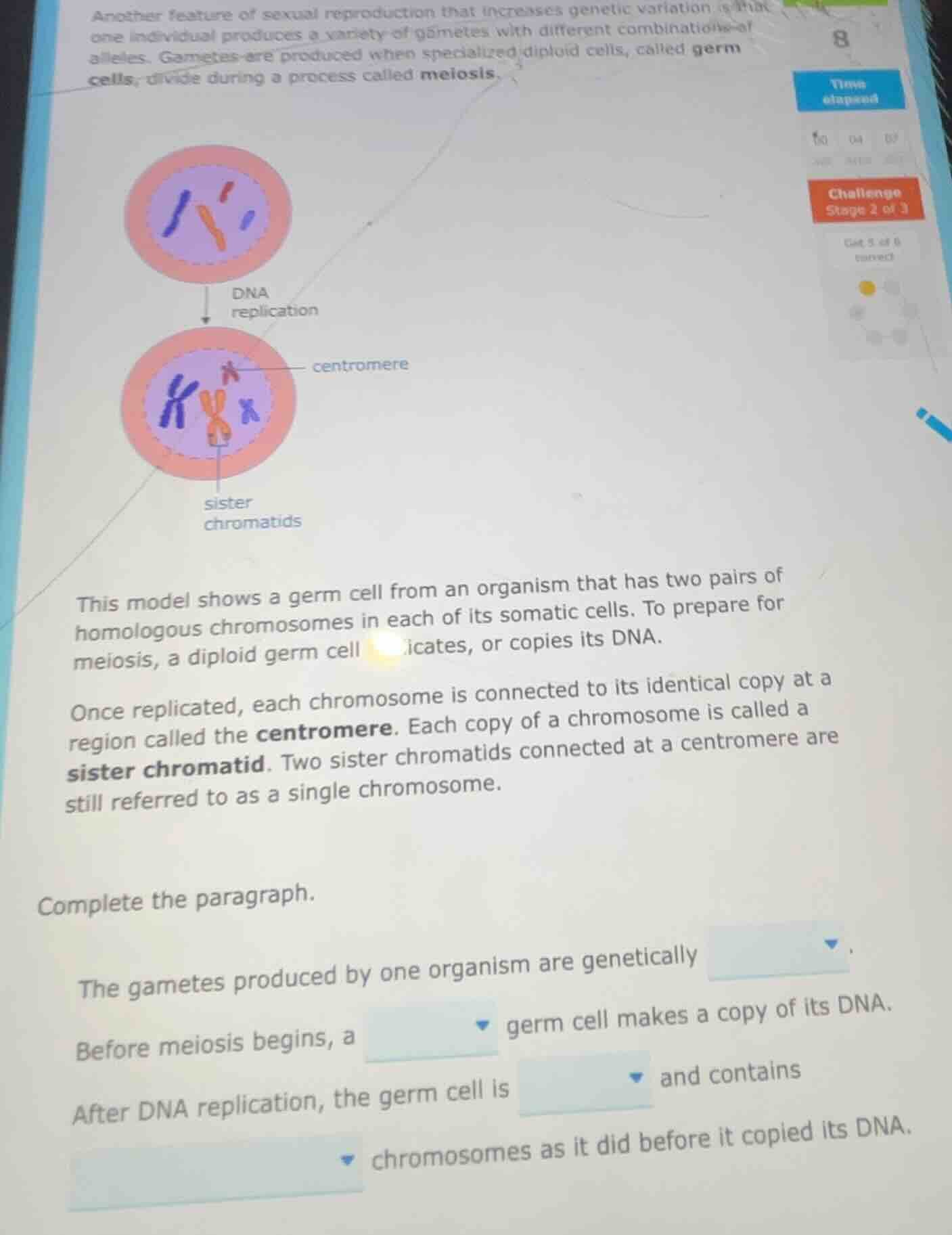 another feature of sexual reproduction that increases genetic variation…