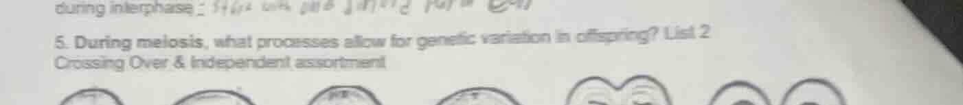 5. during meiosis, what processes allow for genetic variation in offspr…