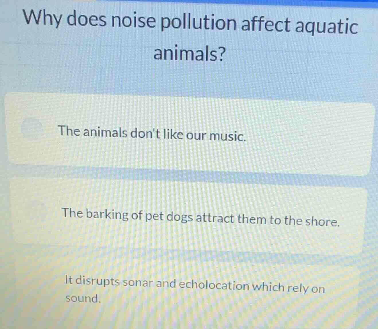 why does noise pollution affect aquatic animals? the animals dont like …