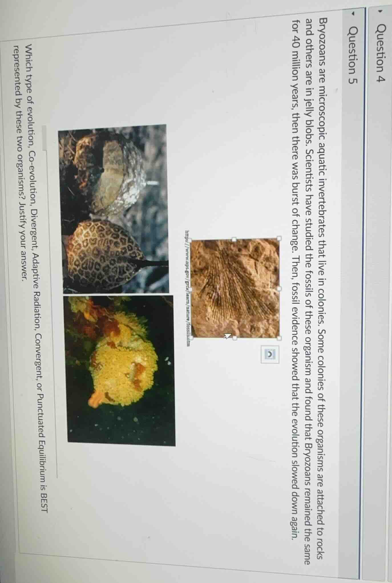 question 5 bryozoans are microscopic aquatic invertebrates that live in…