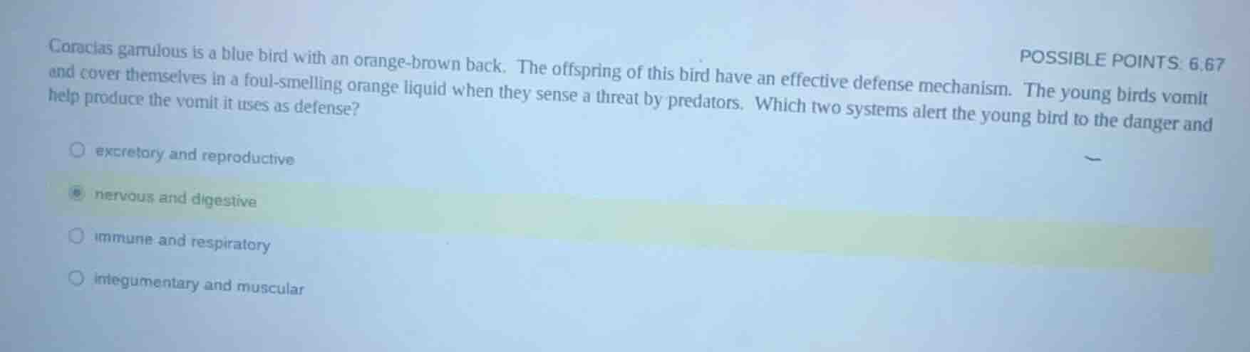cyanocitta garrulus is a blue bird with an orange - brown back. the off…