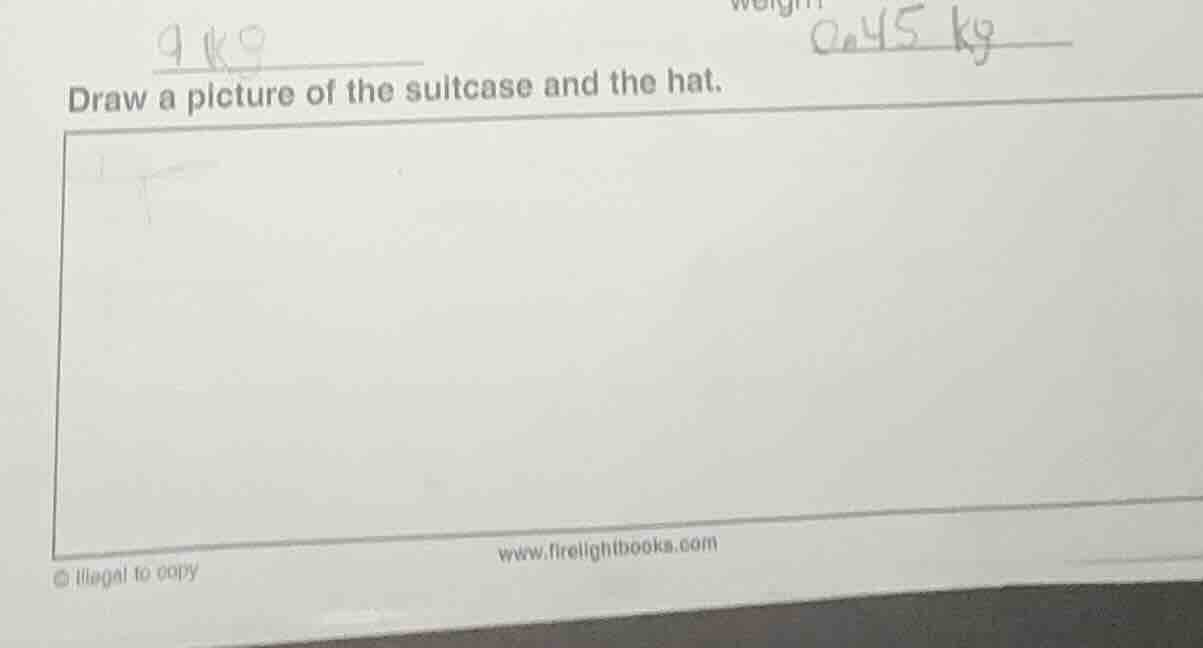 draw a picture of the suitcase and the hat.