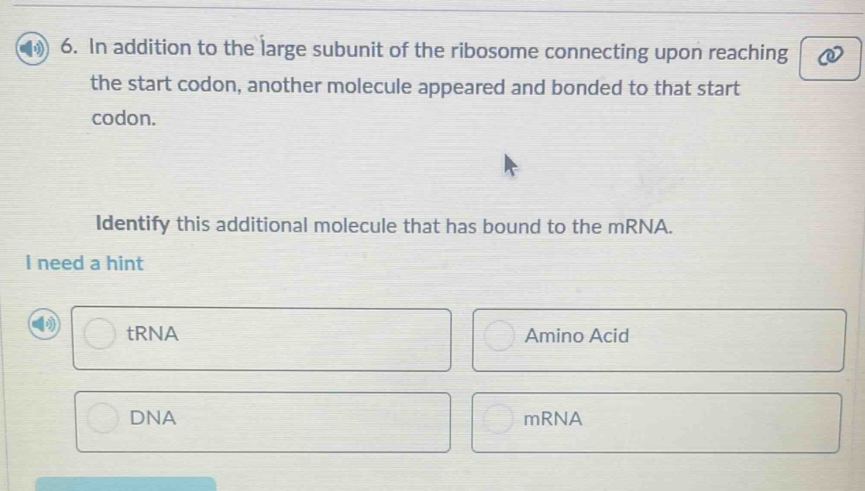6. in addition to the large subunit of the ribosome connecting upon rea…