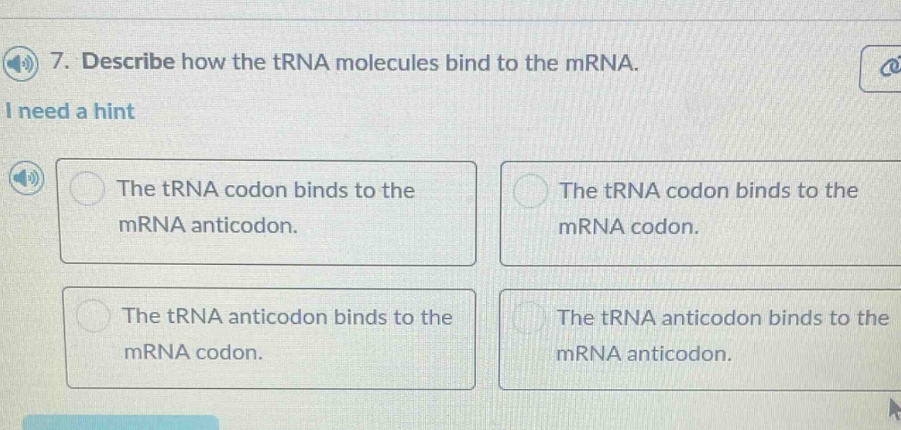 7. describe how the trna molecules bind to the mrna. i need a hint the …