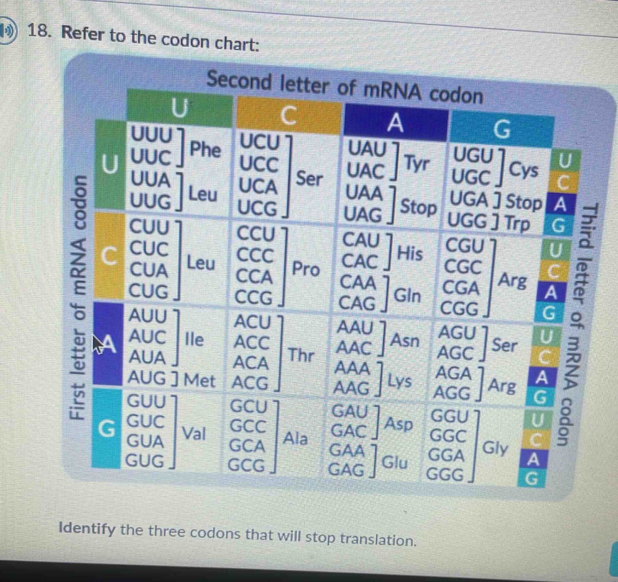 18. refer to the codon chart: identify the three codons that will stop …