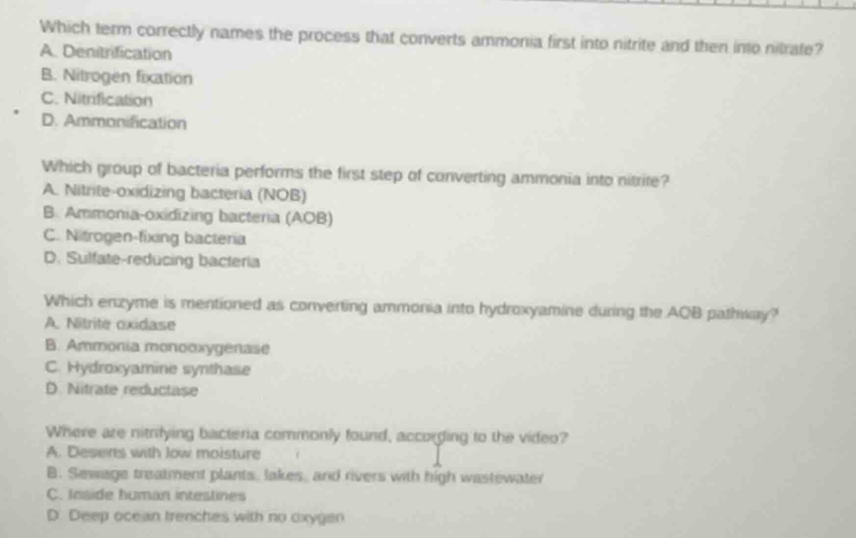 which term correctly names the process that converts ammonia first into…