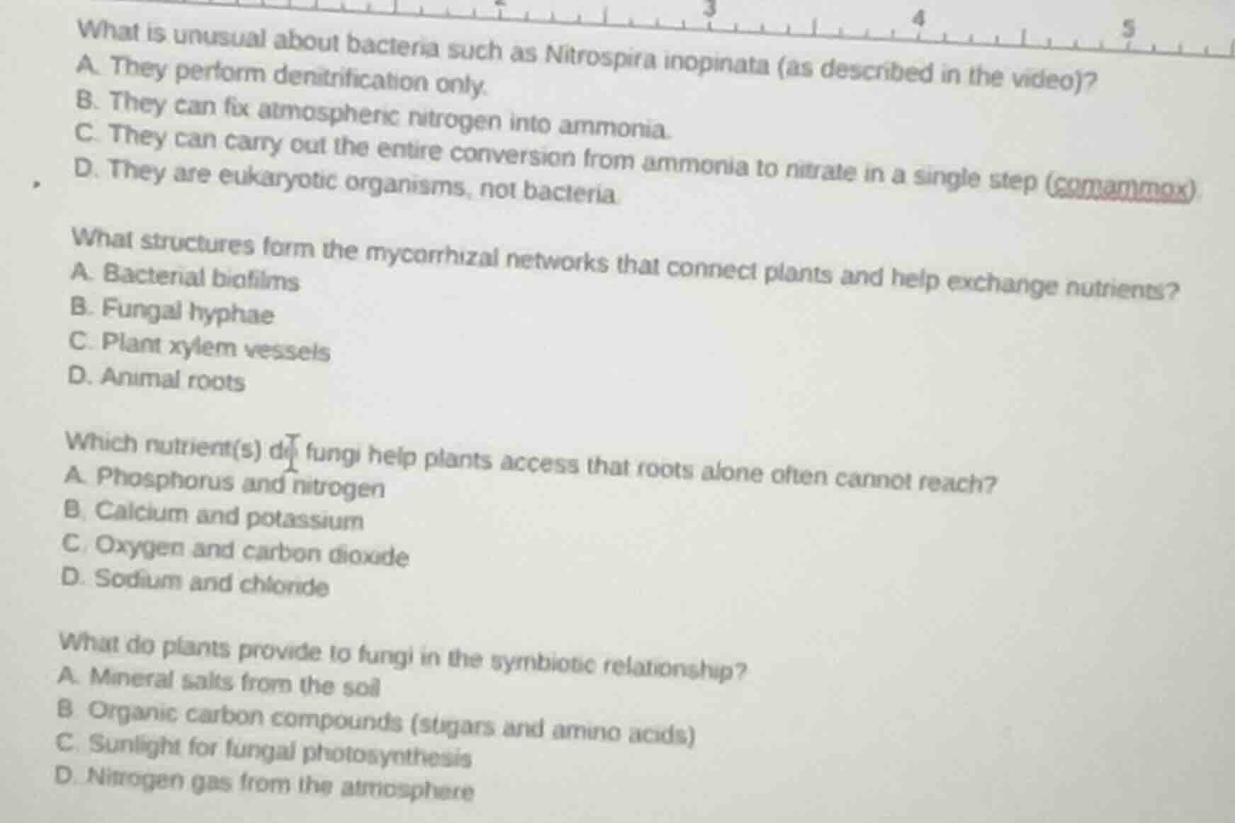 what is unusual about bacteria such as nitrospira inopinata (as describ…