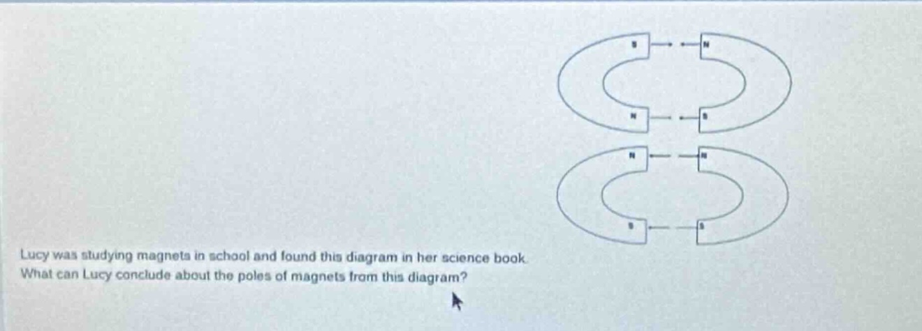 lucy was studying magnets in school and found this diagram in her scien…