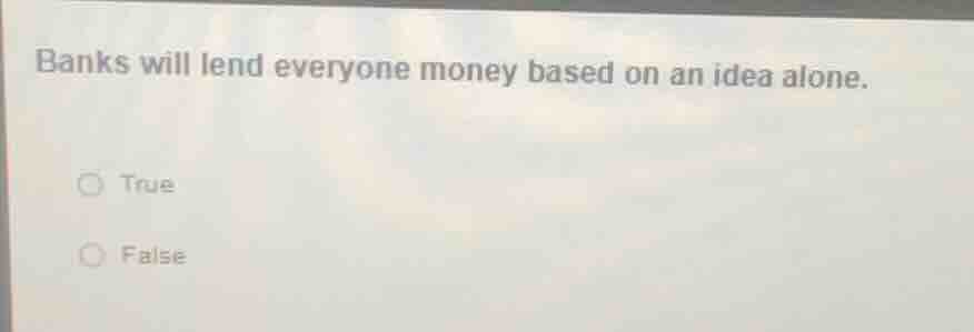 banks will lend everyone money based on an idea alone. true false