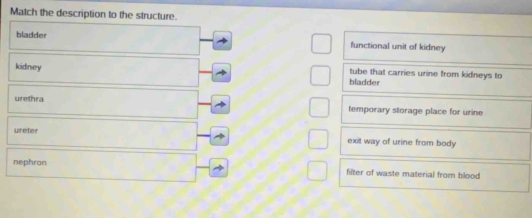match the description to the structure. bladder kidney urethra ureter n…