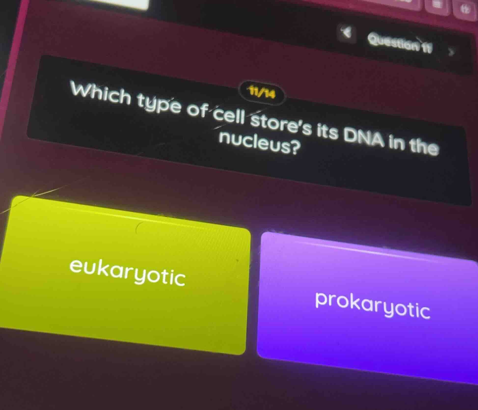 which type of cell stores its dna in the nucleus? eukaryotic prokaryotic