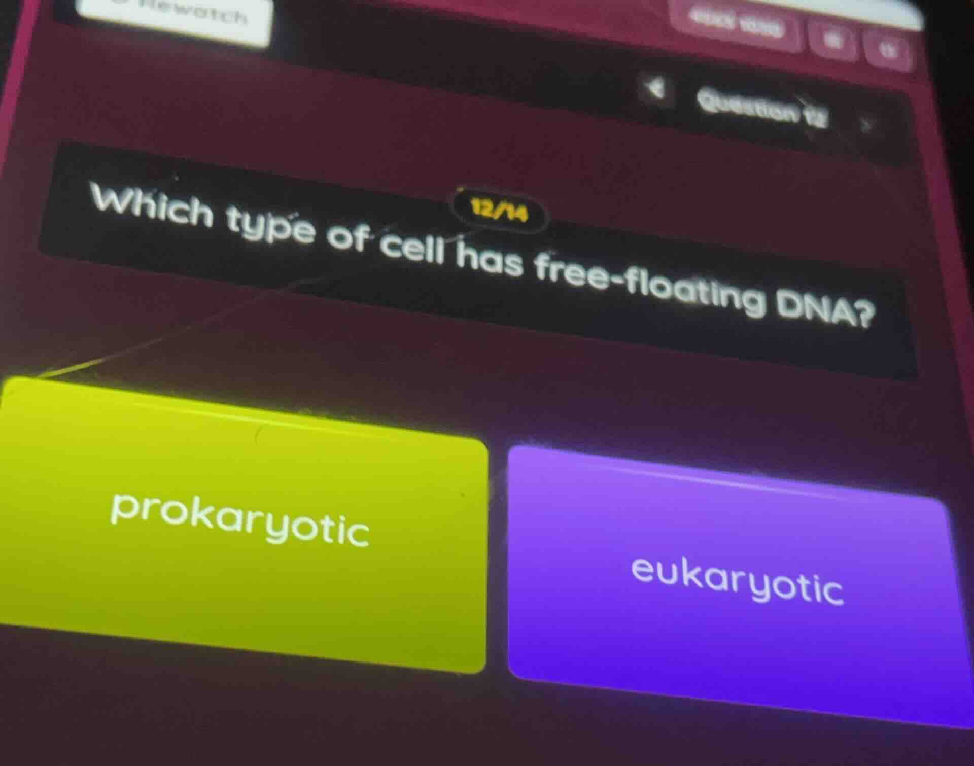 which type of cell has free - floating dna? prokaryotic eukaryotic