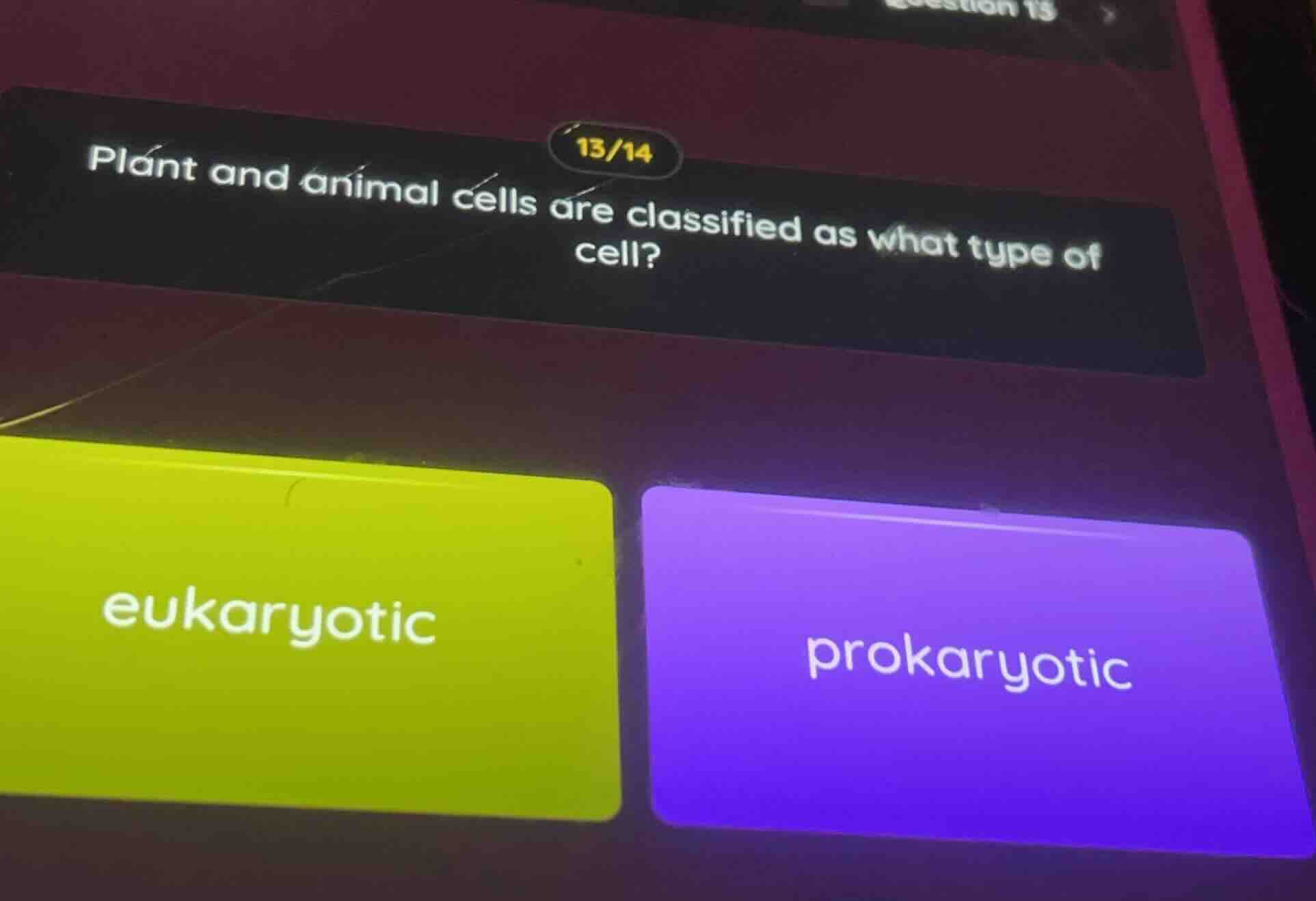plant and animal cells are classified as what type of cell? eukaryotic …