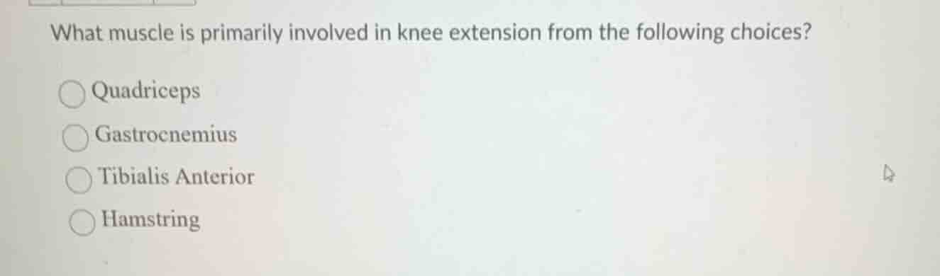 what muscle is primarily involved in knee extension from the following …