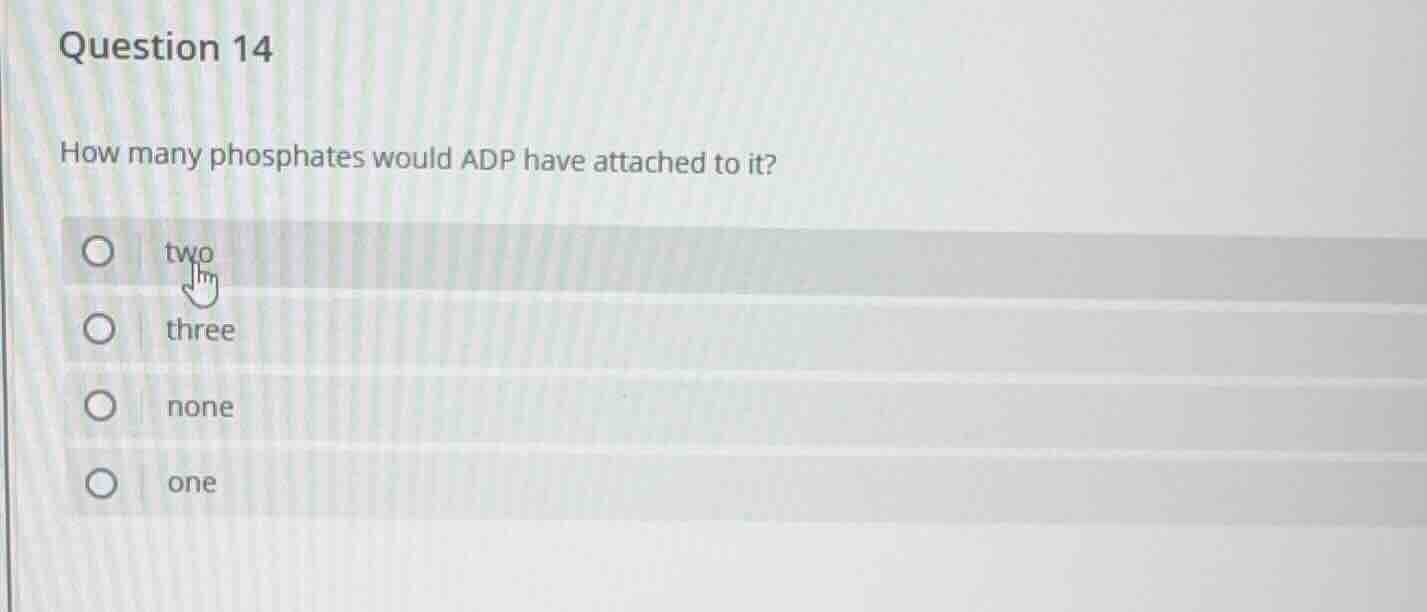question 14 how many phosphates would adp have attached to it? ○ two ○ …