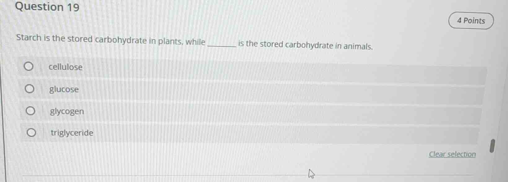 question 19 4 points starch is the stored carbohydrate in plants, while…