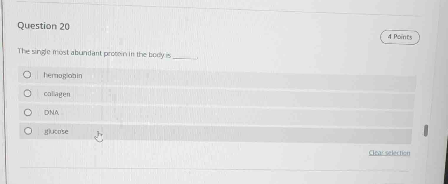 question 20 4 points the single most abundant protein in the body is __…