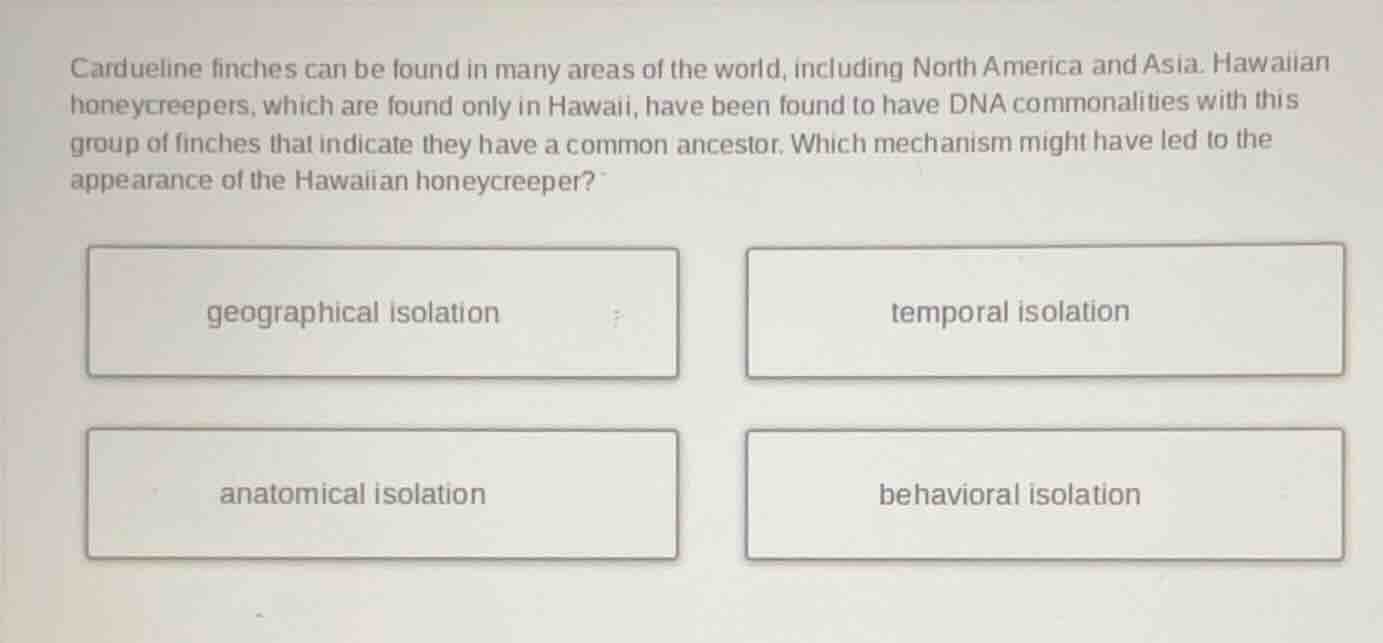 cardueline finches can be found in many areas of the world, including n…