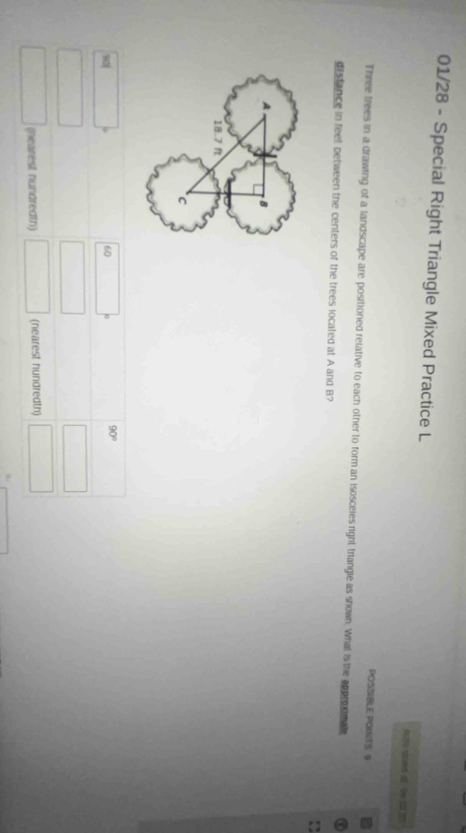 01/28 - special right triangle mixed practice l three trees in a drawin…