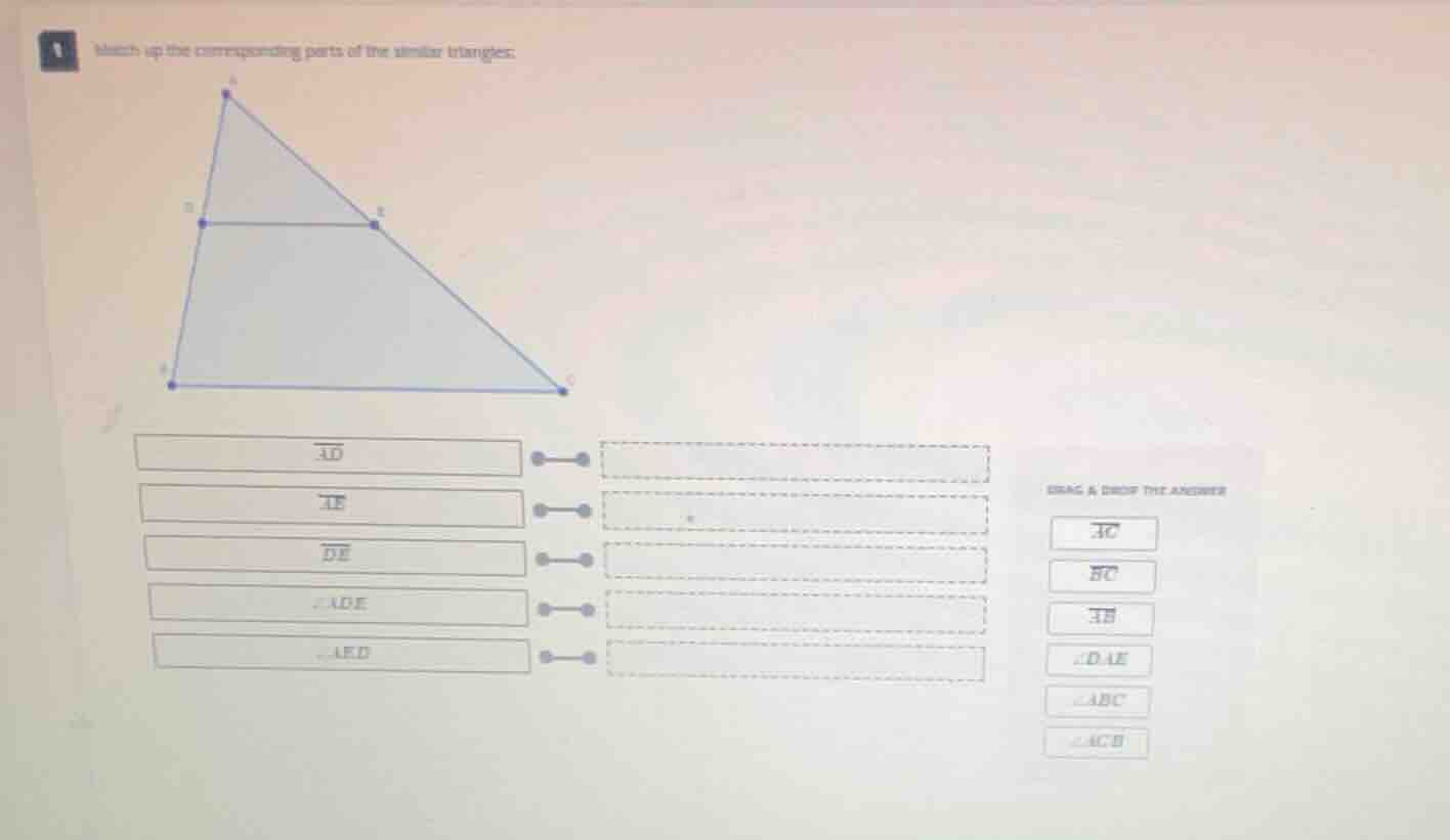 1 match up the corresponding parts of the similar triangles: drag & dro…