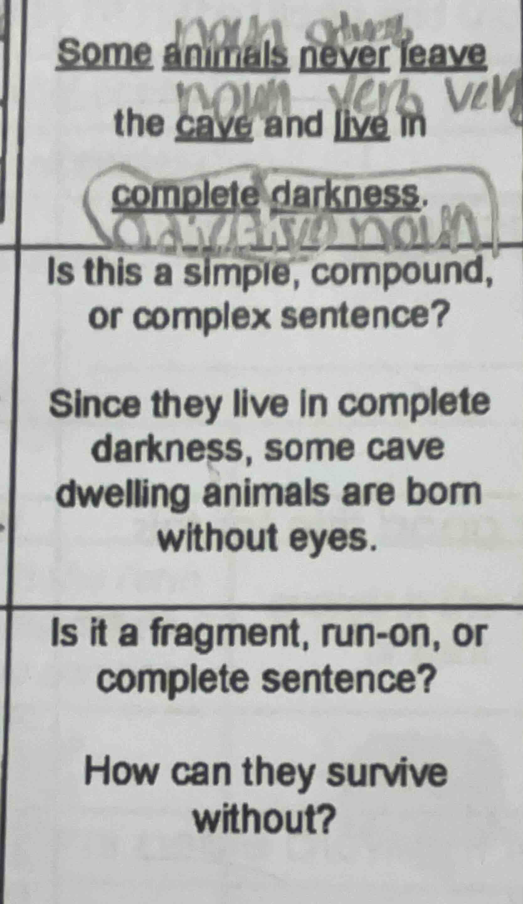 some animals never leave the cave and live in complete darkness. is thi…
