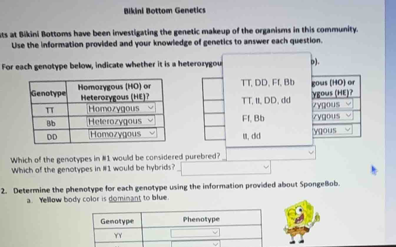bikini bottom genetics\ sts at bikini bottoms have been investigating t…