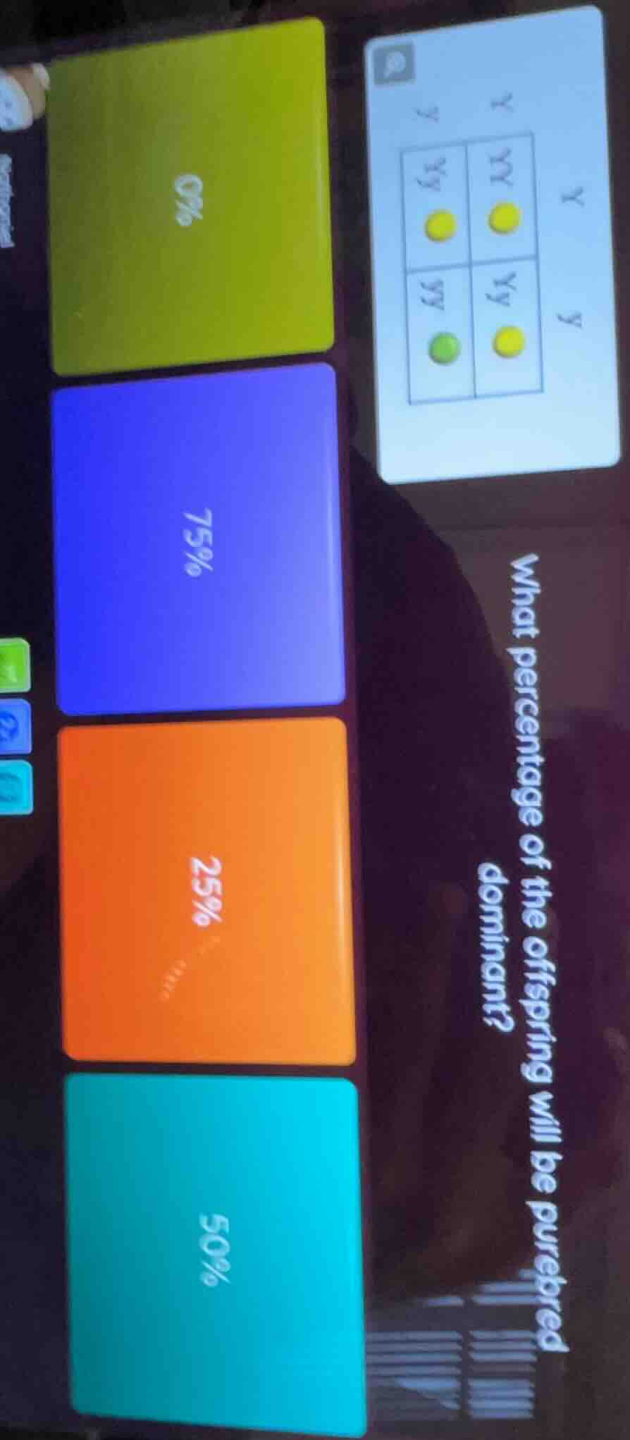 what percentage of the offspring will be purebred dominant?