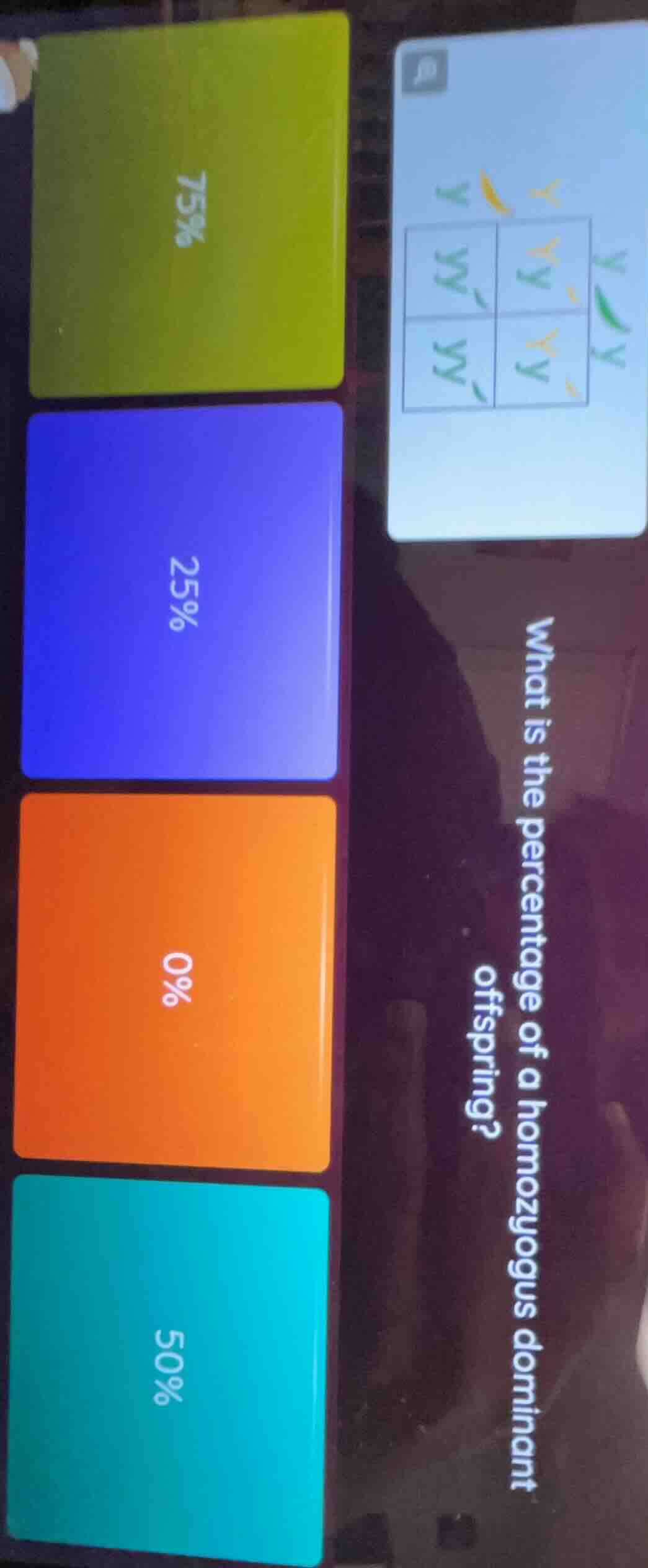 what is the percentage of a homozygous dominant offspring?