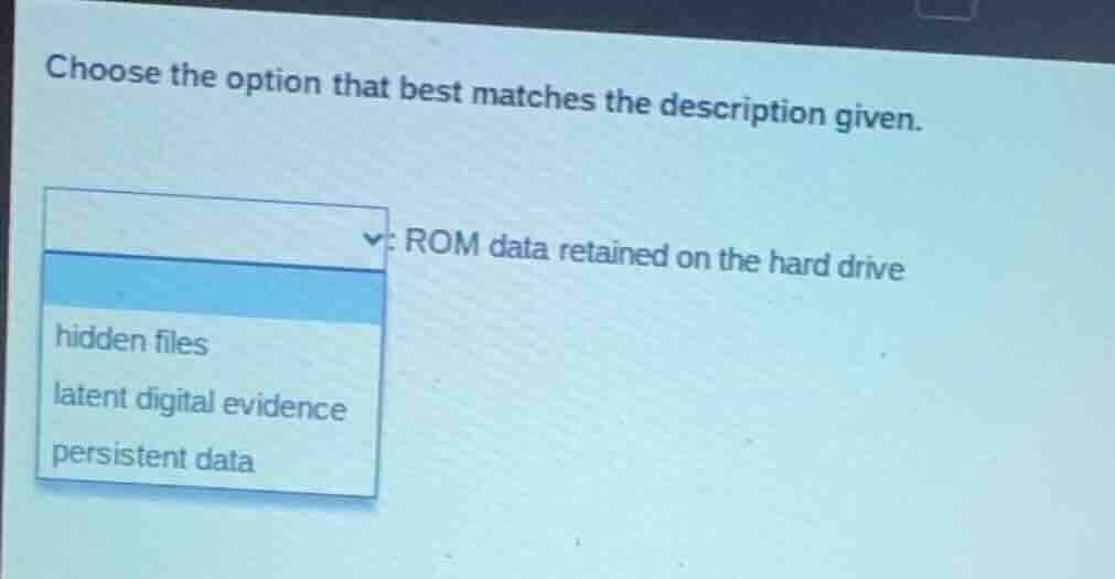 choose the option that best matches the description given. rom data ret…