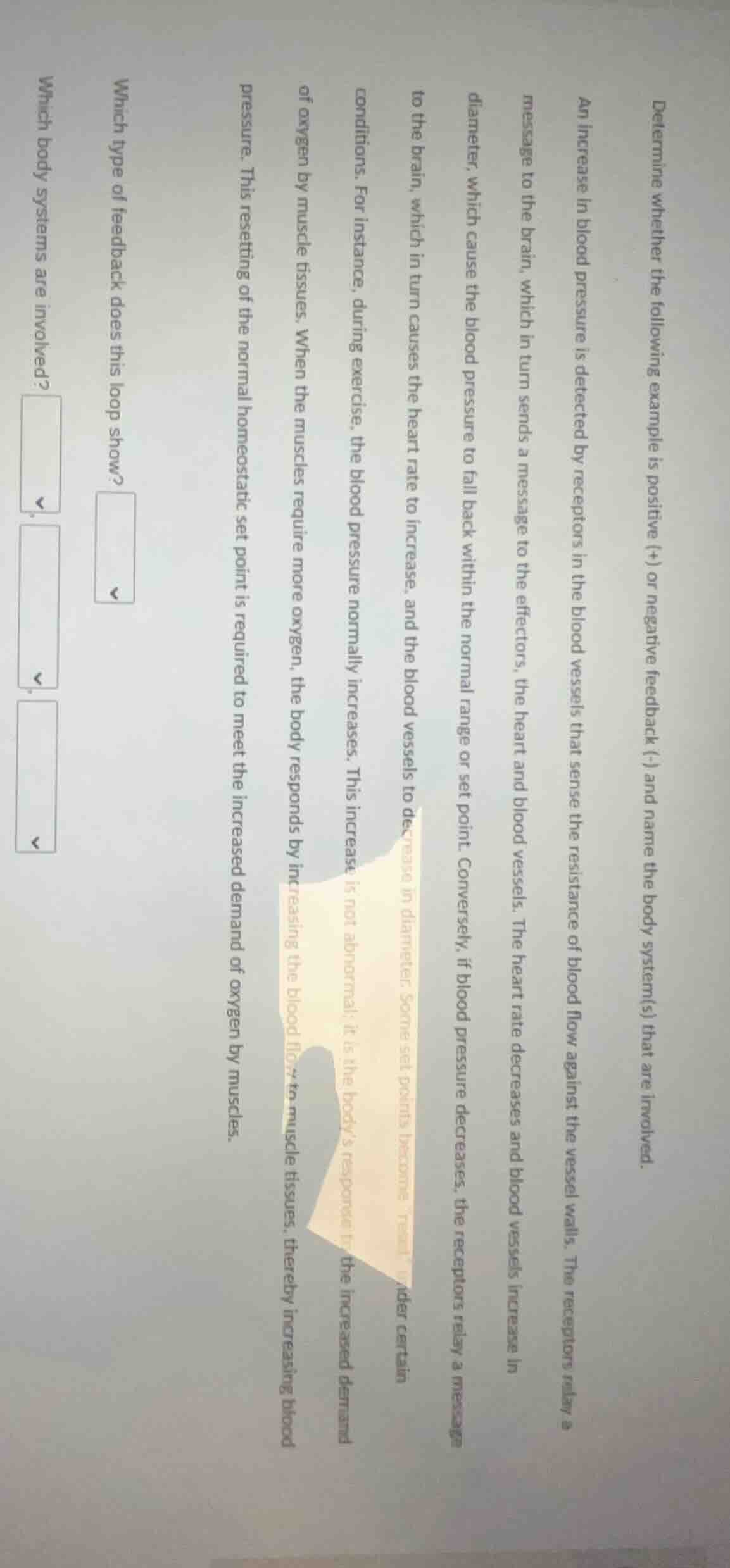 determine whether the following example is positive (+) or negative fee…