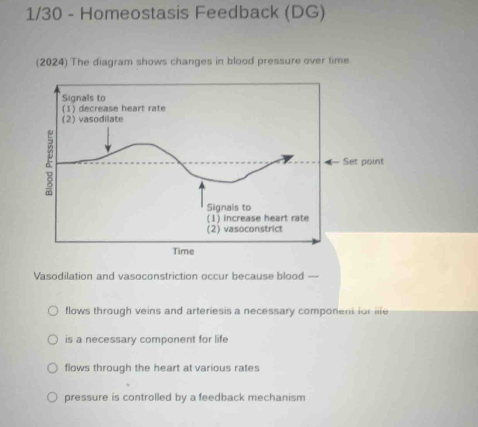 1/30 - homeostasis feedback (dg) (2024) the diagram shows changes in bl…