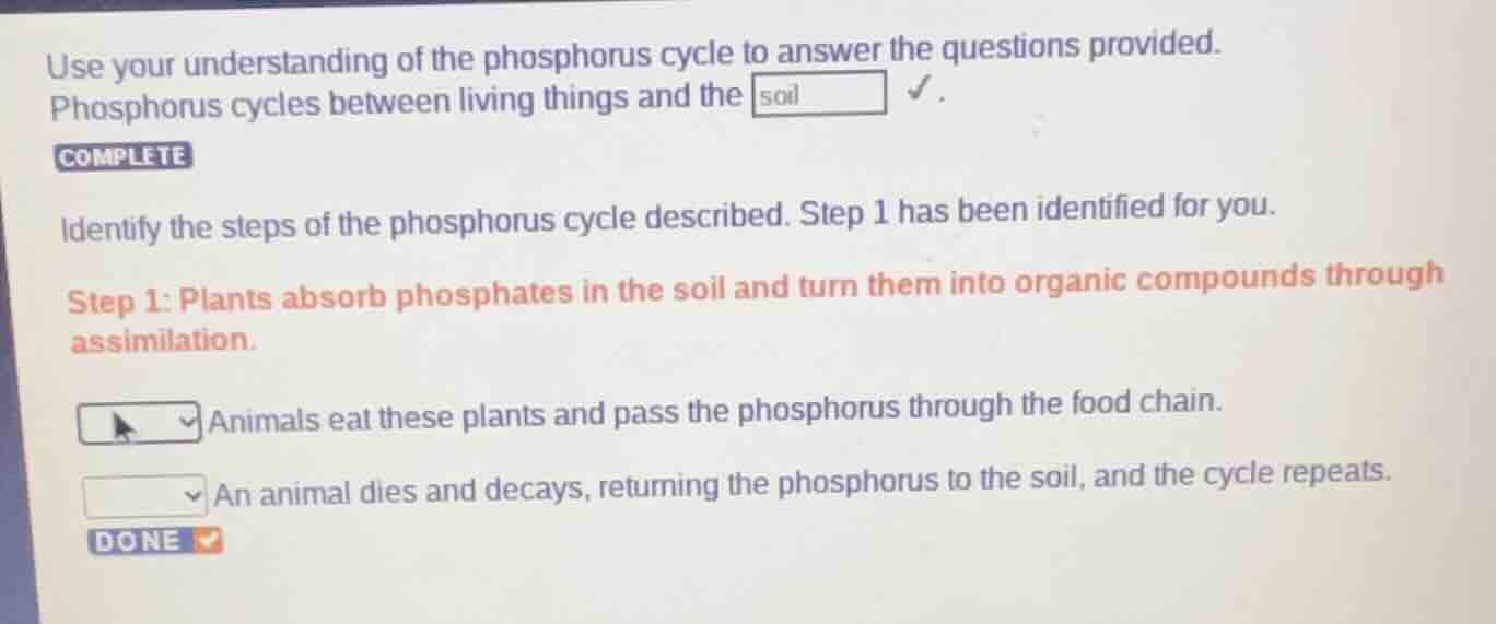 use your understanding of the phosphorus cycle to answer the questions …