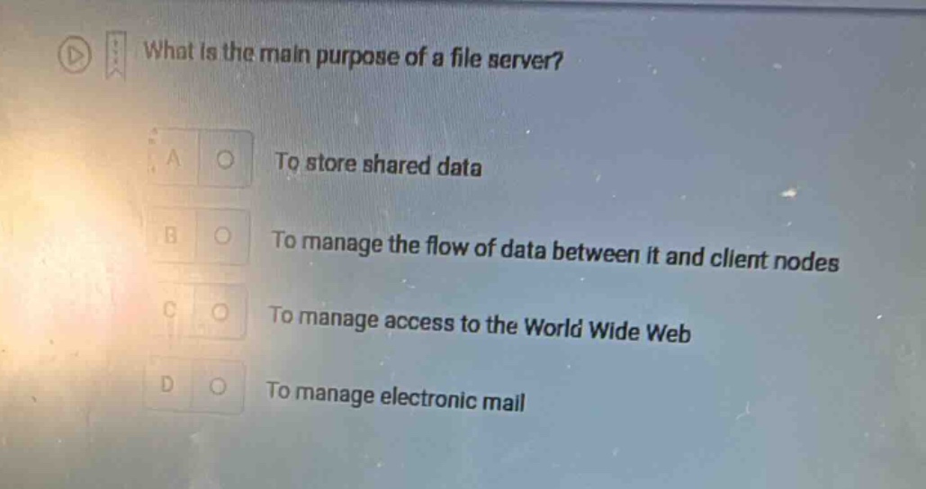 what is the main purpose of a file server? a to store shared data b to …